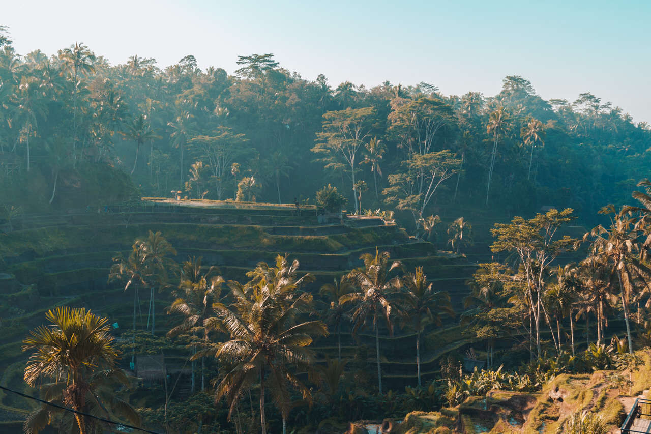 Learn Indonesia’s rich past with expert guidance